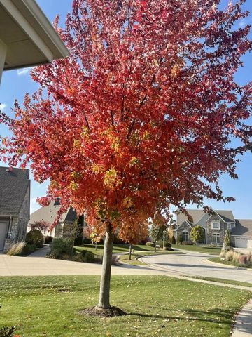 2907 Broken Arrow COURT, Waukesha, WI 53189