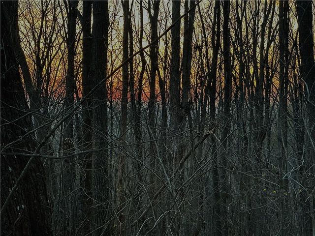 Lot 3 Mount Mincie Road, Murrayville, GA 30564