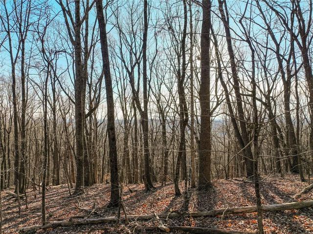 Lot 3 Mount Mincie Road, Murrayville, GA 30564