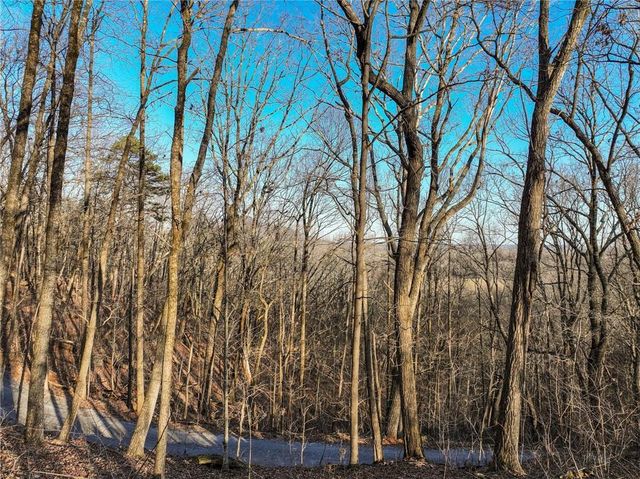 Lot 3 Mount Mincie Road, Murrayville, GA 30564