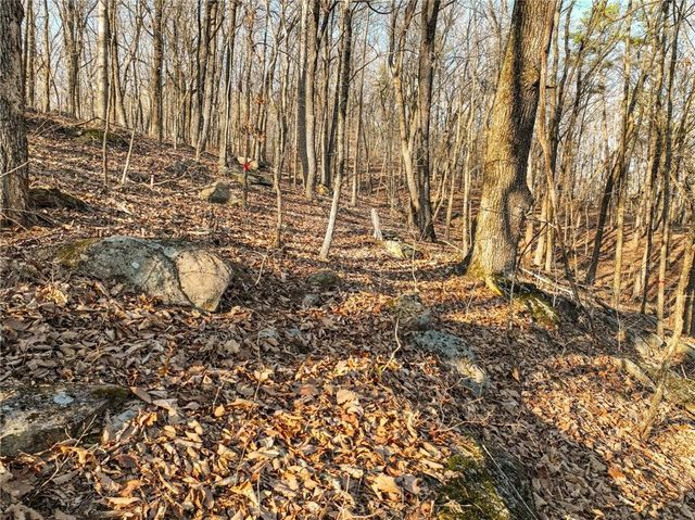 Lot 3 Mount Mincie Road, Murrayville, GA 30564