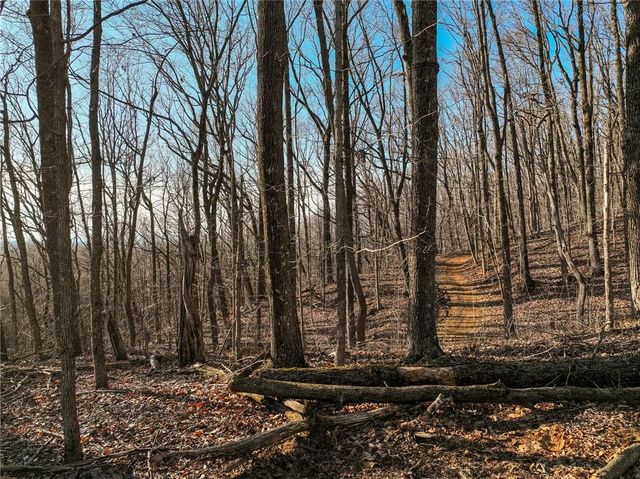 Lot 3 Mount Mincie Road, Murrayville, GA 30564