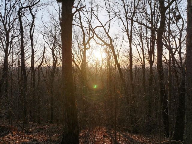 Lot 3 Mount Mincie Road, Murrayville, GA 30564