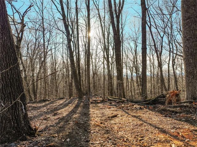 Lot 3 Mount Mincie Road, Murrayville, GA 30564