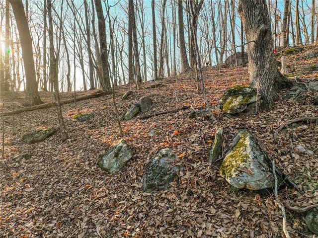 Lot 3 Mount Mincie Road, Murrayville, GA 30564