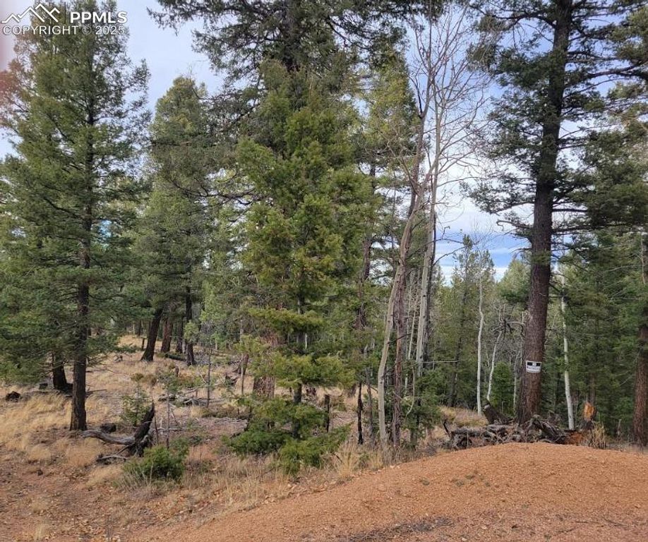 180 Sentinel Way, Florissant, CO 80816 — photo 2