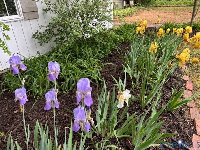 221 Henry Clay Rd, Ashland, VA 23005