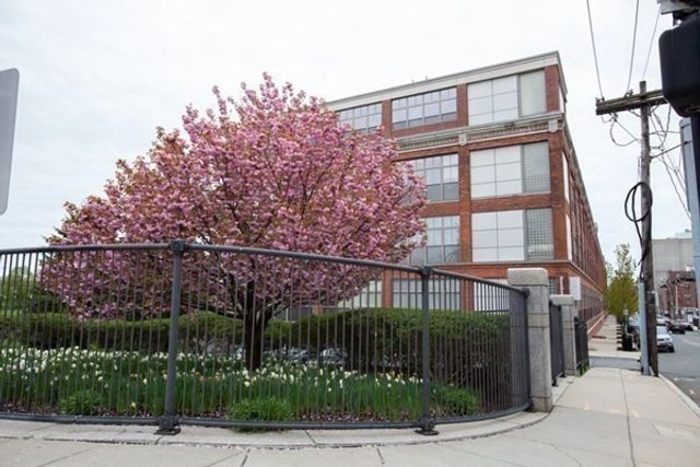 156 Porter Street 424, Boston, MA 02128