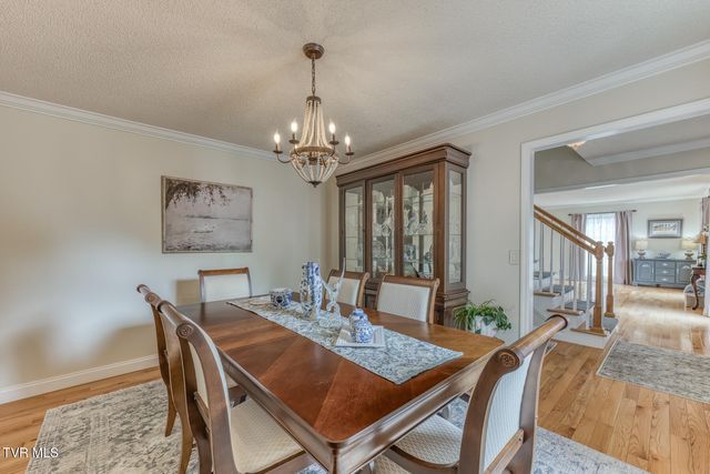 411 Elm Lane, Johnson City, TN 37604