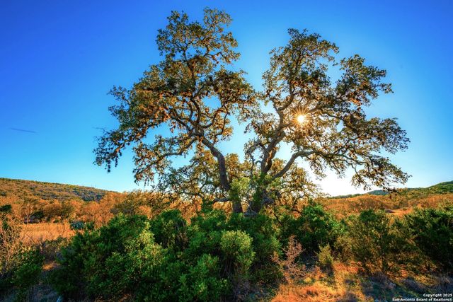 1659 Mesa Verde, Concan, TX 78838