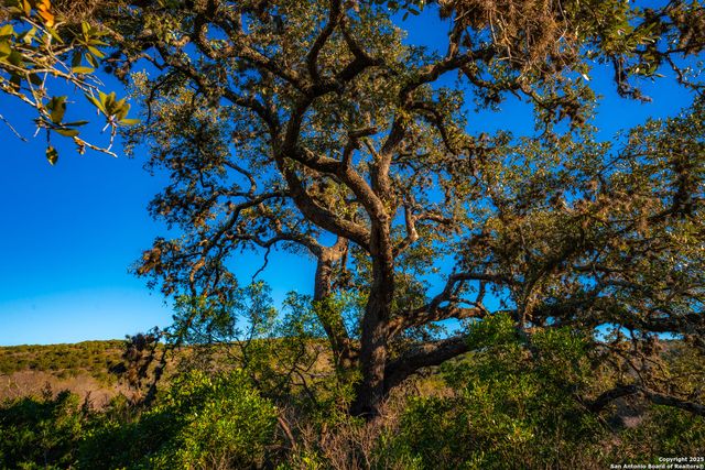 1659 Mesa Verde, Concan, TX 78838