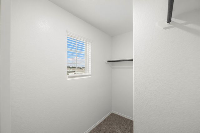 25953 Northpark Birch Drive, Porter, TX 77365