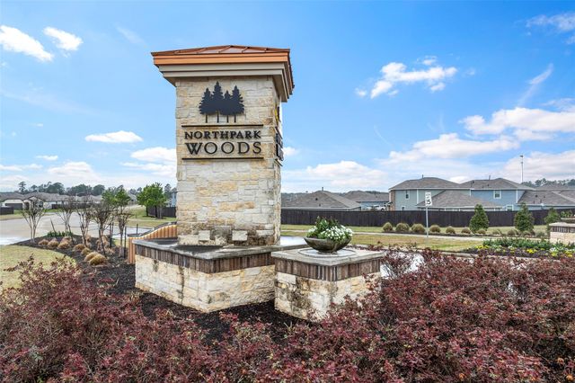 25953 Northpark Birch Drive, Porter, TX 77365