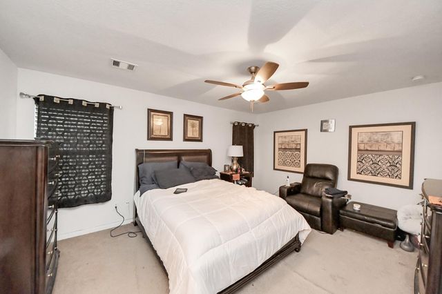 15323 Trinity Meadow Drive, Houston, TX 77489