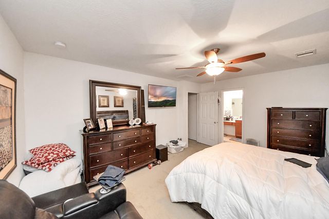 15323 Trinity Meadow Drive, Houston, TX 77489