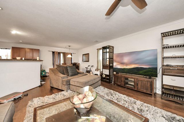 15323 Trinity Meadow Drive, Houston, TX 77489