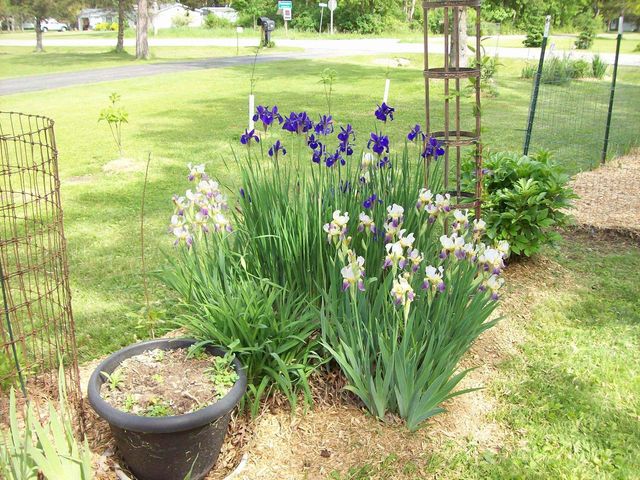W6052 County Road D Road, Montello, WI 53949