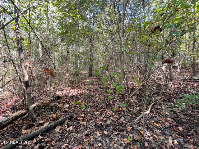 567 Beatys Chapel Rd, Tellico Plains, TN 37385