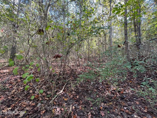 567 Beatys Chapel Rd, Tellico Plains, TN 37385