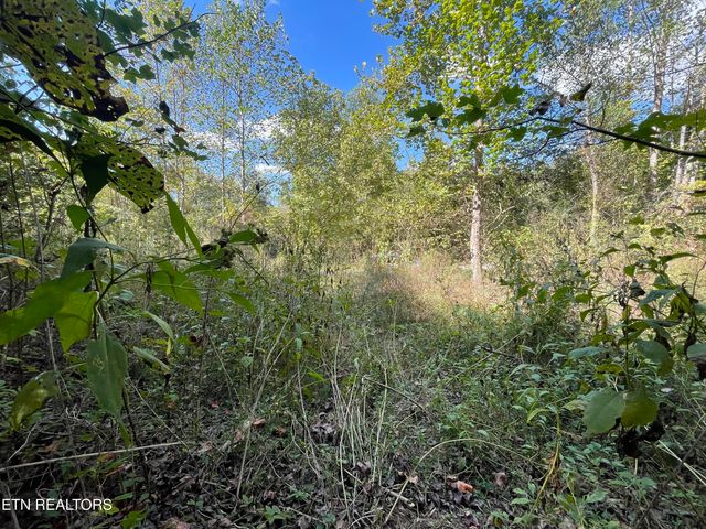 567 Beatys Chapel Rd, Tellico Plains, TN 37385