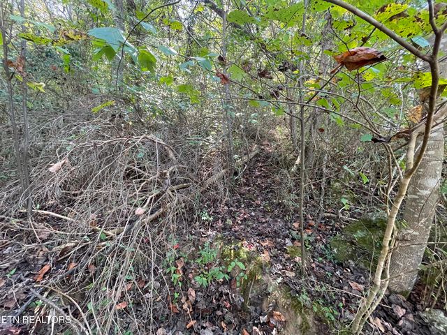 567 Beatys Chapel Rd, Tellico Plains, TN 37385