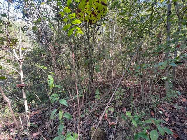 567 Beatys Chapel Rd, Tellico Plains, TN 37385