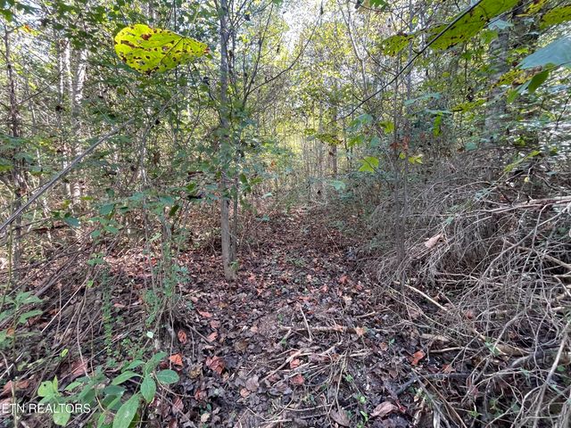 567 Beatys Chapel Rd, Tellico Plains, TN 37385