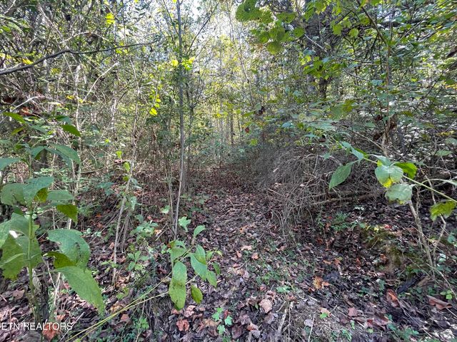 567 Beatys Chapel Rd, Tellico Plains, TN 37385