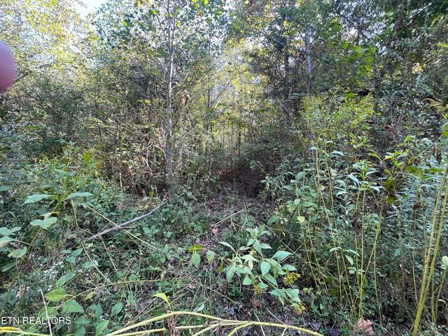 567 Beatys Chapel Rd, Tellico Plains, TN 37385