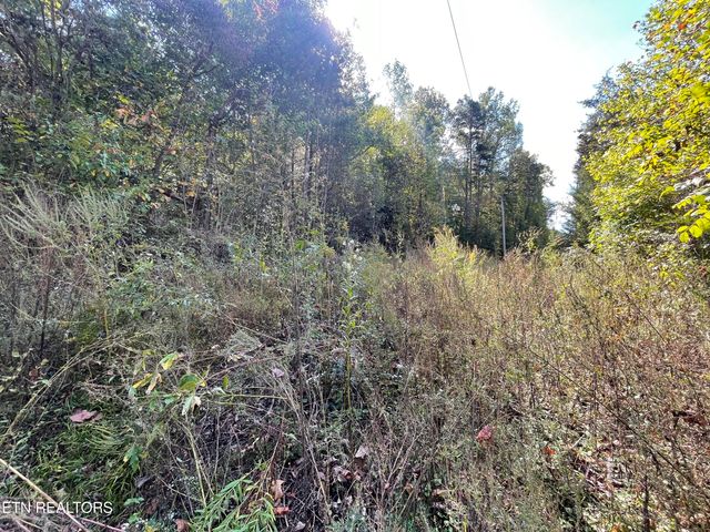 567 Beatys Chapel Rd, Tellico Plains, TN 37385