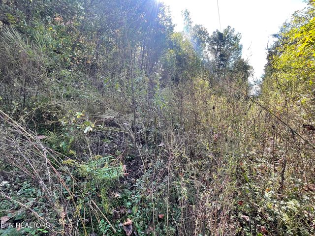 567 Beatys Chapel Rd, Tellico Plains, TN 37385