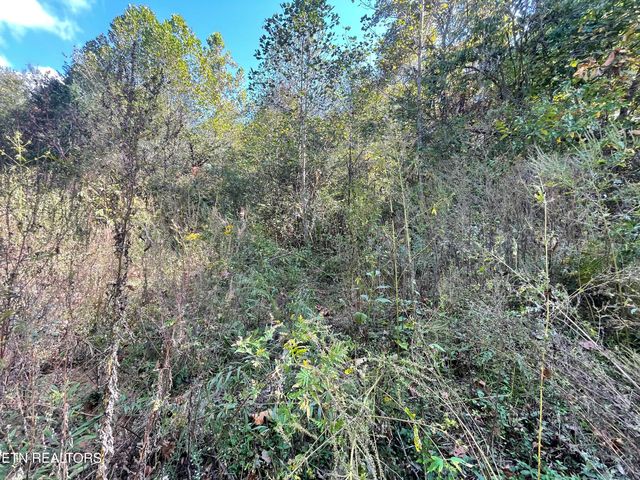 567 Beatys Chapel Rd, Tellico Plains, TN 37385