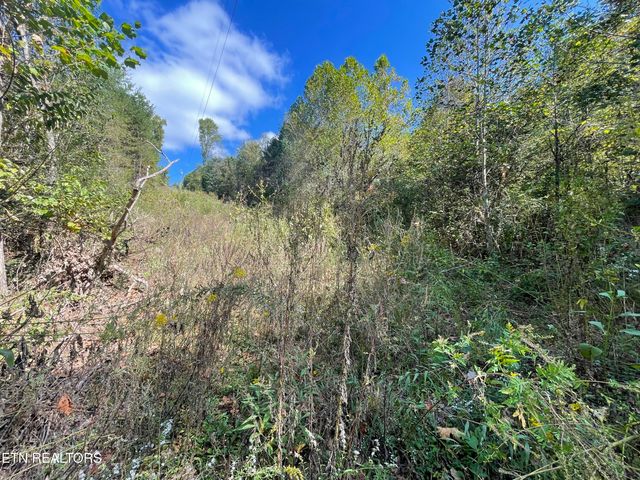 567 Beatys Chapel Rd, Tellico Plains, TN 37385