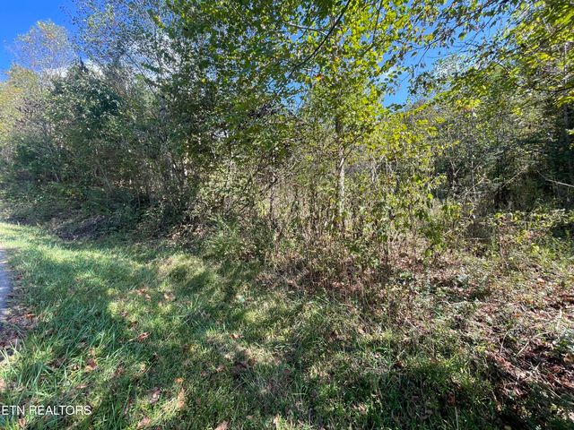 567 Beatys Chapel Rd, Tellico Plains, TN 37385