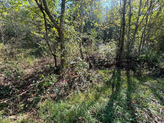 567 Beatys Chapel Rd, Tellico Plains, TN 37385