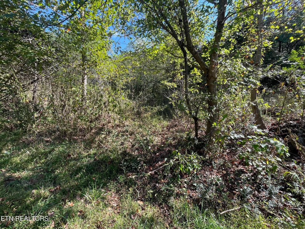 567 Beatys Chapel Rd, Tellico Plains, TN 37385