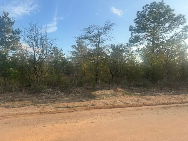 XXX Juniper Avenue, Defuniak Springs, FL 32433