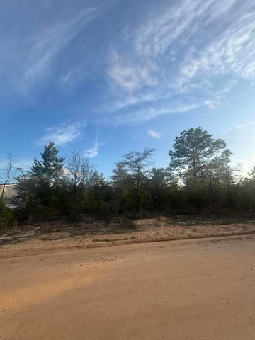 XXX Juniper Avenue, Defuniak Springs, FL 32433