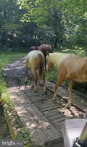 8487 BOTHA RD, Warrenton, VA 20186