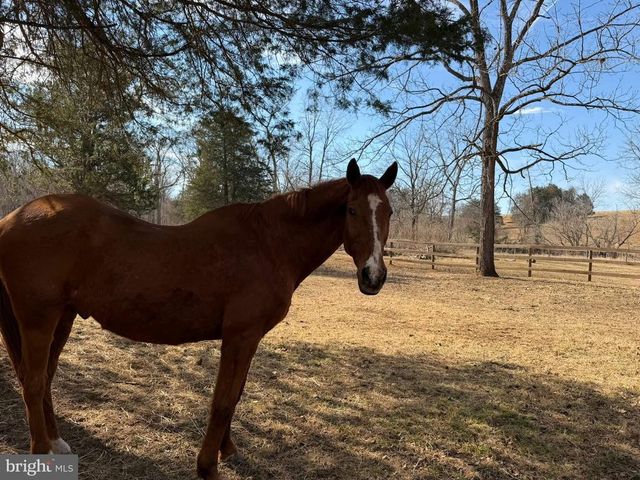 8487 BOTHA RD, Warrenton, VA 20186