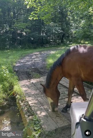 8487 BOTHA RD, Warrenton, VA 20186