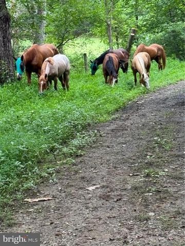 8487 BOTHA RD, Warrenton, VA 20186