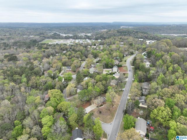 1361 DEARING DOWNS CIRCLE, Helena, AL 35080