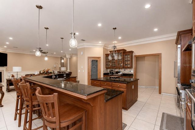 1009 EMERALD CREEK DRIVE, Valrico, FL 33596