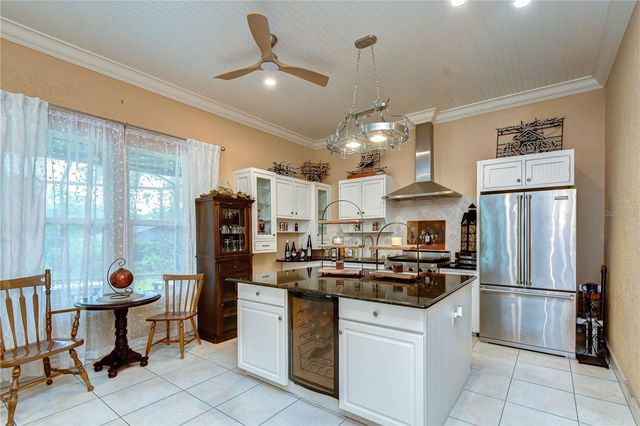 1009 EMERALD CREEK DRIVE, Valrico, FL 33596