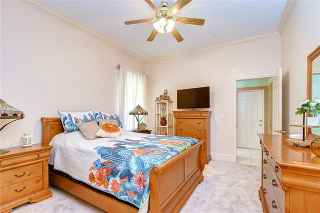 1009 EMERALD CREEK DRIVE, Valrico, FL 33596