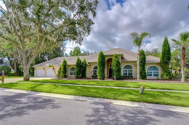 1009 EMERALD CREEK DRIVE, Valrico, FL 33596