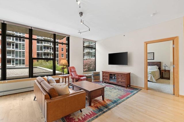 215 10th Avenue S 207, Minneapolis, MN 55415