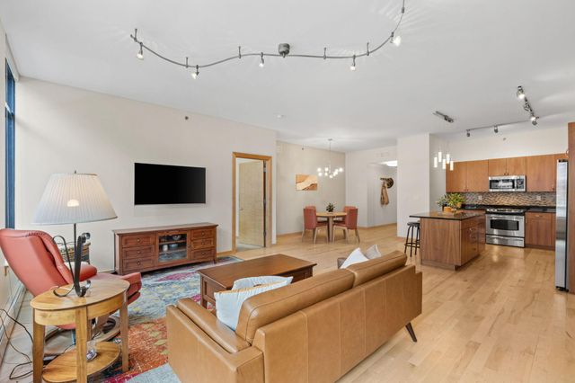 215 10th Avenue S 207, Minneapolis, MN 55415