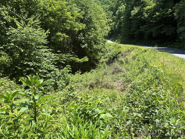 0 Timber Estates Road 11, Bryson City, NC 28713